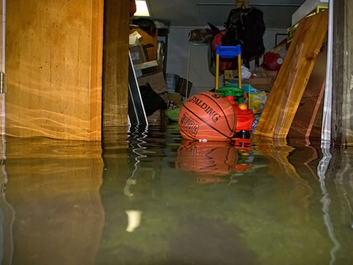 Need Water Removal and Restoration Services for Your Basement? We’ve Got You Covered!